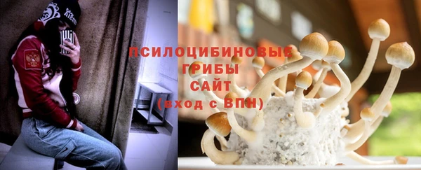 ПСИЛОЦИБИНОВЫЕ ГРИБЫ Армянск