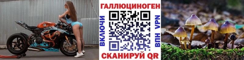 Псилоцибиновые грибы GOLDEN TEACHER  наркота  мега   Рудня 
